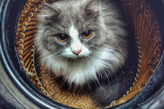 Araba-Motoru-Hangi-Parçalardan-Oluşur Quelle est la meilleure marque de pneus ? Comparaison des prix et de la qualité 2022 - 1