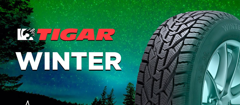 Top 10 des pneus d'hiver de tyre.md