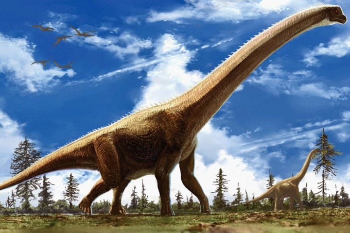 Comparaison des pneus d'été Crossover. Comparatif pneus été Crossover Les meilleurs pneus premium - 256