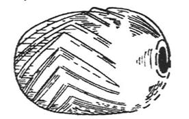 ROUES DE VOITURE (construction métallique, pneus, types de pneus) 22 ROUES DE VOITURE (construction métallique, pneus, types de pneus) - 20