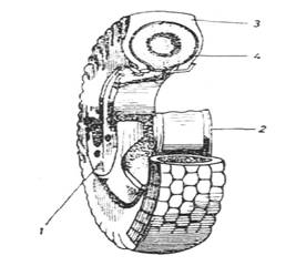 ROUES DE VOITURE (construction métallique, pneus, types de pneus)