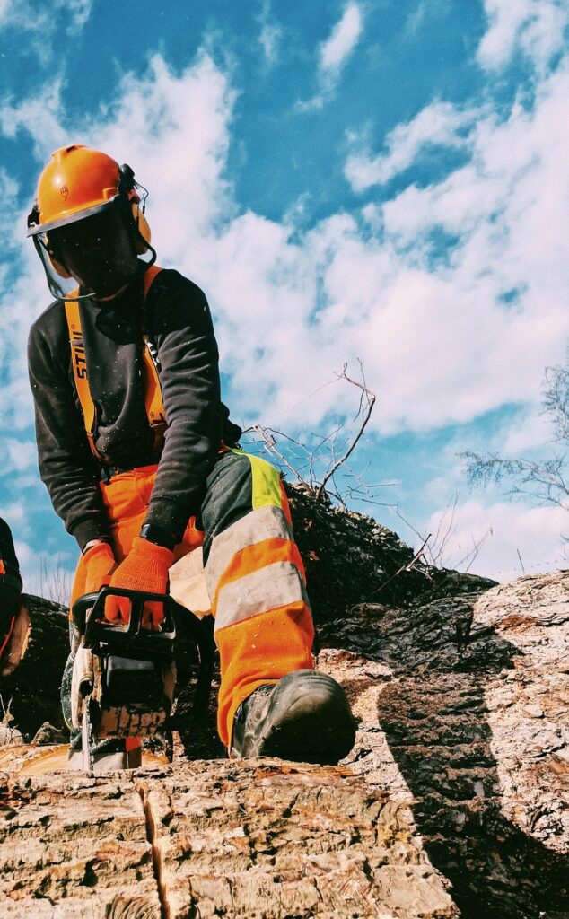 Scies à chaîne STIHL. Acheter une tronçonneuse, scie électrique, tronçonneuse en Ukraine 237 découvrez les tronçonneuses stihl, alliant puissance, performance et fiabilité pour tous vos travaux de coupe et d'élagage.