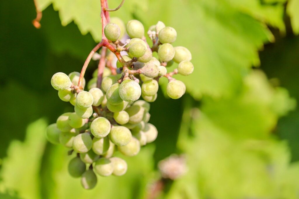 Comparaison des pneus d'été Crossover. Comparatif pneus été Crossover Les meilleurs pneus premium 200 découvrez nos pneus été pour crossover, offrant performance, adhérence et sécurité pour vos trajets estivaux.