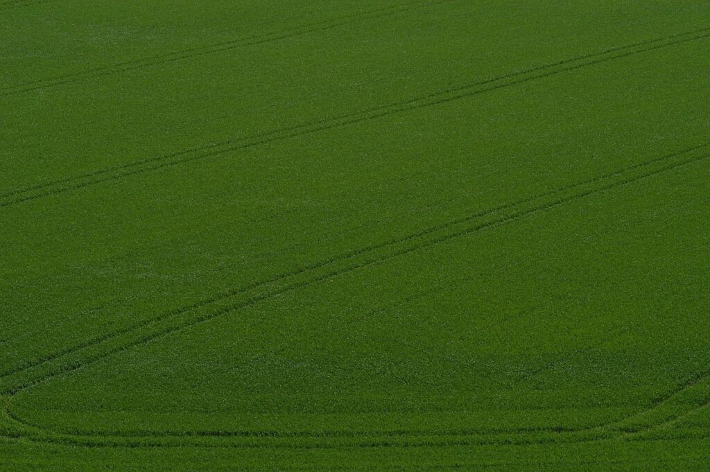 découvrez notre sélection de pneus été performants, offrant adhérence optimale et sécurité lors de vos trajets sous des conditions chaudes.