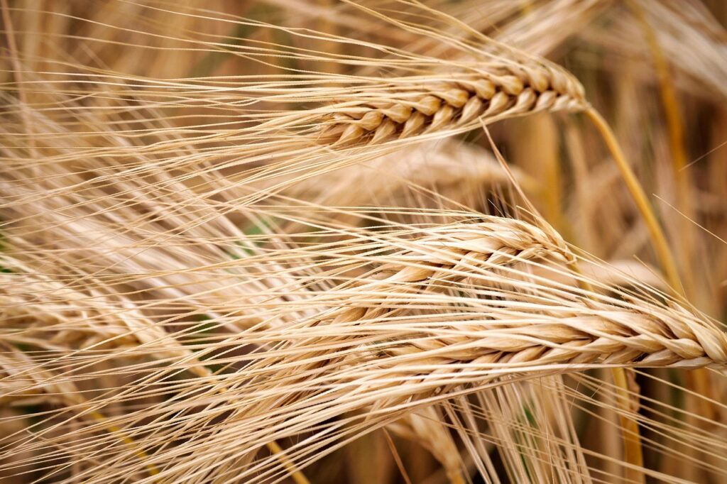 découvrez notre sélection de pneus été offrant performance et sécurité optimales sur routes sèches et chaudes, pour une conduite confortable et efficace tout au long de la saison estivale.