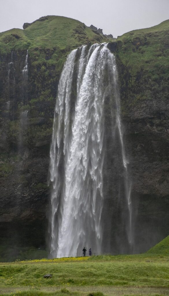 Nous choisissons les meilleurs pneus pour un tracteur à conducteur marchant. 271 découvrez nos pneus pour tracteurs à poussage à main, conçus pour offrir adhérence et durabilité sur tous types de terrains.